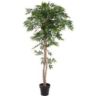 Europalms Ficus longifolia, artificial plant, 165cm TILBUD NU