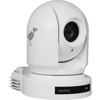 BIRDDOG P200 BLACK