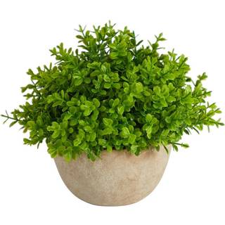 N?sten naturlig 5in. Boxwood Artificial Plant i dekorativ planter