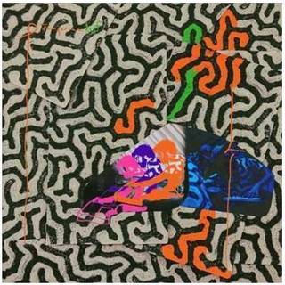 Animal Collective - Tangerine Reef
