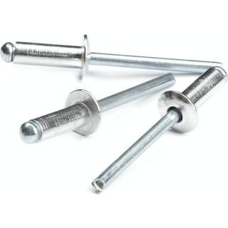 RAPID Blindnitter alu, ø4,8x14mm (100)