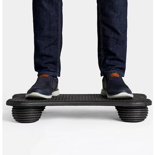 Balanceplade StandActive, Sort