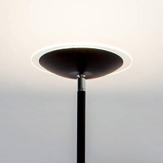 Lindby LED-uplight Malea, 180 cm, sort, metal