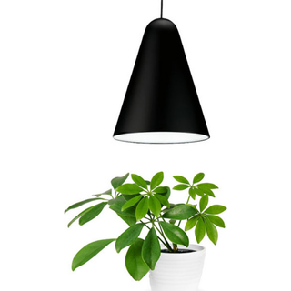 Plantespire pendel m. 5000-6500K hvidt LED lys