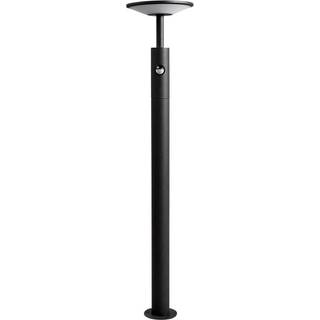 Lucande Fenia LED-vejlampe, 100 cm, sensor, IP54, antracit