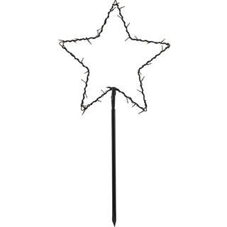 Sirius top-line havestjerne