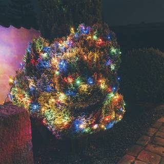 Lyskæde m/200 LED, 19,9m, flere farvet