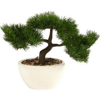 N?sten naturlig 10in. Cedar bonsai kunstigt tr? i dekorativ planter gr?n