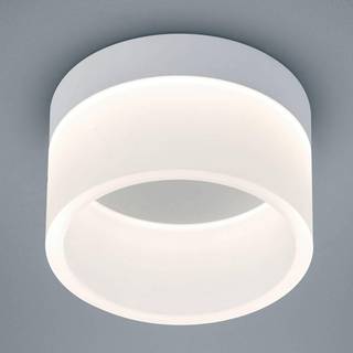 Helestra Liv - LED-loftlampe, 15 cm