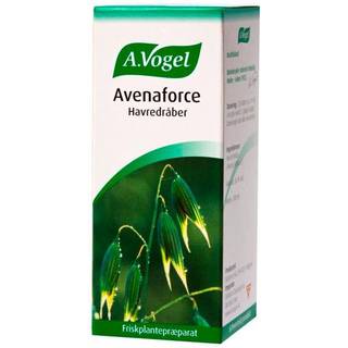 A. Vogel Avenaforce - Frisk havre (Avena Sativa) - 100 ml.