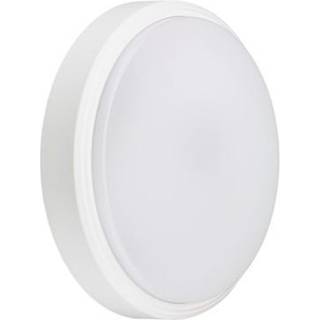 Philips CoreLine Væg/Loft WL140V 2000lm/830 Interact Ready IP65 IK10 Hvid