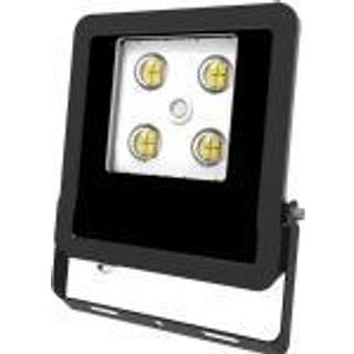EVN Panthera udendørs LED-spot IP65 10W 4.000K