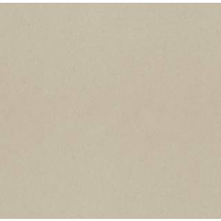 Anis - Warm Beige