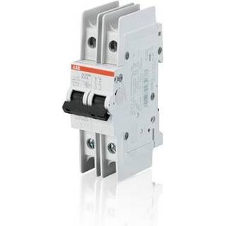 ABB Automatsikring c 2a 2p