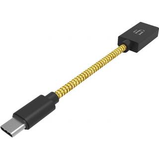 iFI Audio OTG USB-C
