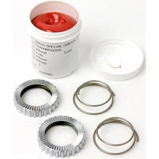 Servicekit til DT Swiss star ratchet 54t