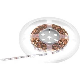 Eurolite LED Strip 300 5m 3528 4000K 12V TILBUD NU