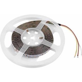 Eurolite LED Strip 600 5m 2835 1800+5700K 24V TILBUD NU