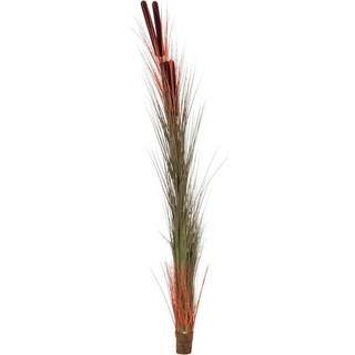 Europalms Reed grass with cattails, light-brown, artificial, 152cm lysebrun brun