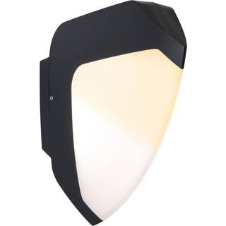 Paulmann Ikosea udendørs LED-væglampe, ZigBee 3.0