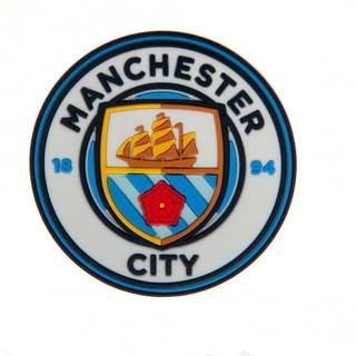 Manchester City FC 3D magnet