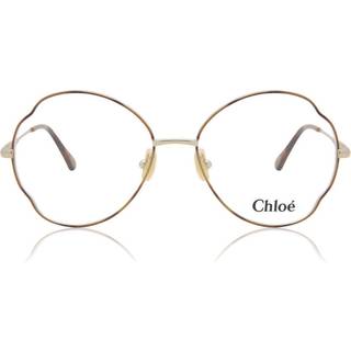 Chloé CH0097O 004 53 Briller Kvinder Tortoiseshell - Shiny Tortoiseshell - 53mm