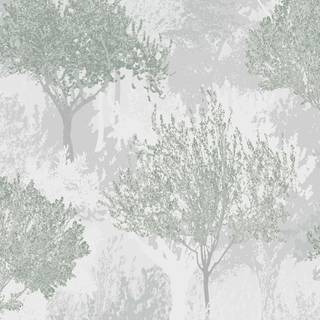 Superfresco Easy Wallpaper Birch 119560