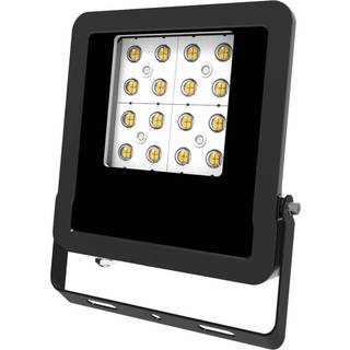 EVN Panthera udendørs LED-spot IP65 50W 4.000K