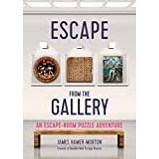 Escape from the Gallery - An Entertaining Art-Based Escape Room Puzzle