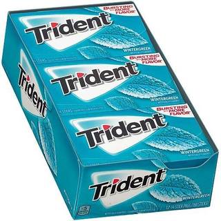 Trident Gum, Wintergreen 18/4-24
