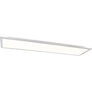 Moderne LED-panel stål 120 cm inkl. LED - Liv