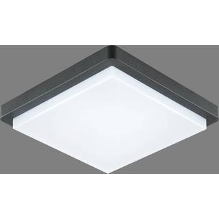 EVN LED udendørs loftlampe Tectum, 23x23 cm, antracit, 150°
