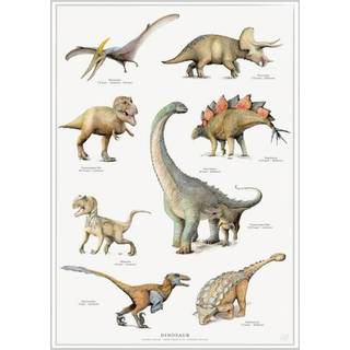 Plakat A2: Dinosaur