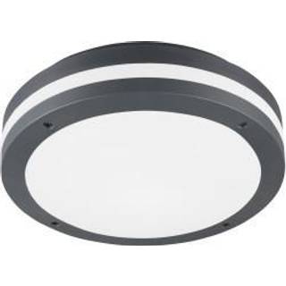 Trio Lighting - Piave Ø30 - Loftslamper