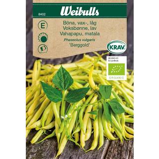 Økologisk Voksbønne frø (Phaseolus vulgaris 'Berggold')