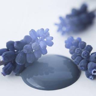 Royal Blue kalkmaling 100 ml. eller 700 ml.