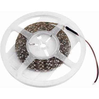 Eurolite LED Strip 300 5m 3528 3000K 12V bendable TILBUD NU