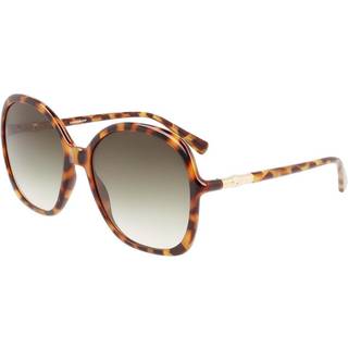 LONGCHAMP Unisex LO711S 255 Solbriller Plast Brun Oversize Fotokromatisk
