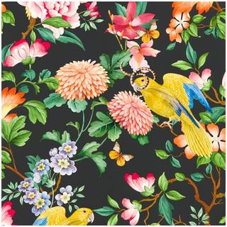 Wedgwood by Clarke & Clarke Wallpaper Golden Parrot W0130/04