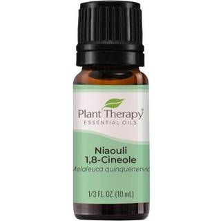 Planterapi niaouli 1 8-cineol essentiel olie 10 ml (1/3 oz) 100% ren ufortyndet terapeutisk kvalitet