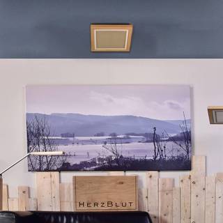 HerzBlut Otto O loftlampe, kvadrat, olieret eg