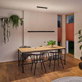 Paulmann - Aptare Pendel Zigbee Dim. Sort