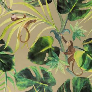 Clarke & Clarke Wallpaper Monkey Business W0083/02