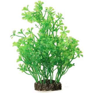 Akvarieplante (På lager i varehus)