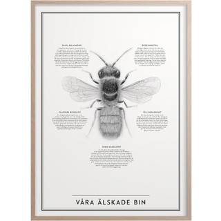 Kunskapstavlan® Våra Älskade Bin Plakat 50x70 Cm - Plakater Papir Sort Hvid - 8789