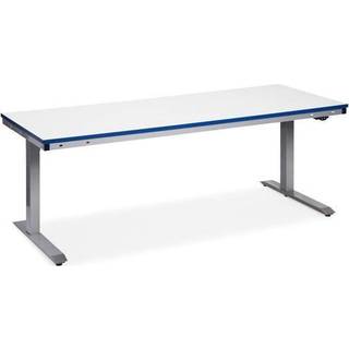 Cater-Line madfilm PVC 500m x 36cm perforeret 36 x 36 cm klar