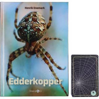 Spil og læs: Edderkopper