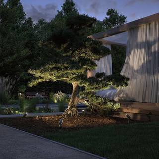 Paulmann Plug & Shine LED spot med jordspyd Radix