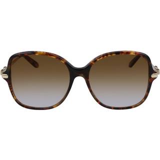 Ferragamo Kvinde SF990SR 214 Solbriller Acetat Havana Grå Firkantet Skygge