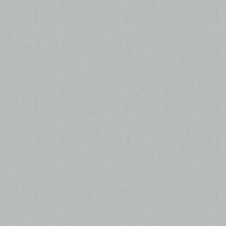 Cloudy Linen - 4329